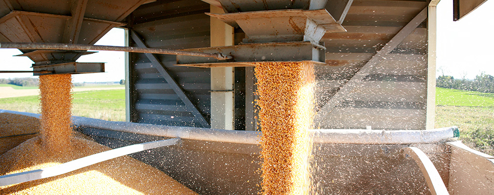 How to effectively manage stored grain fire risks