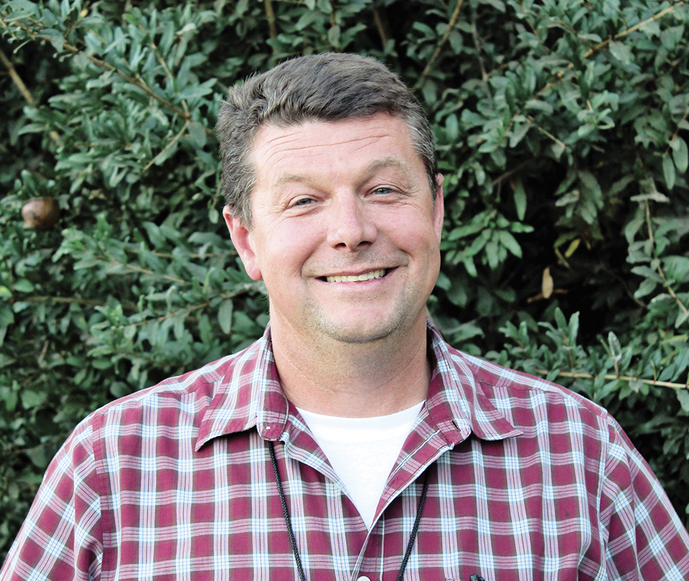 What are important winter sanitation steps for tree nuts?