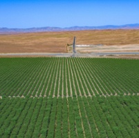 Probation under SGMA will cost the region, farmers say