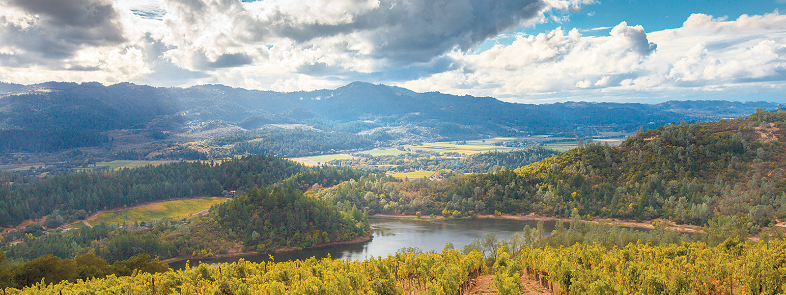 Commentary: Anti-farming agenda blocks vineyard in Napa Valley