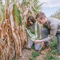A common rock may be carbon solution for farming