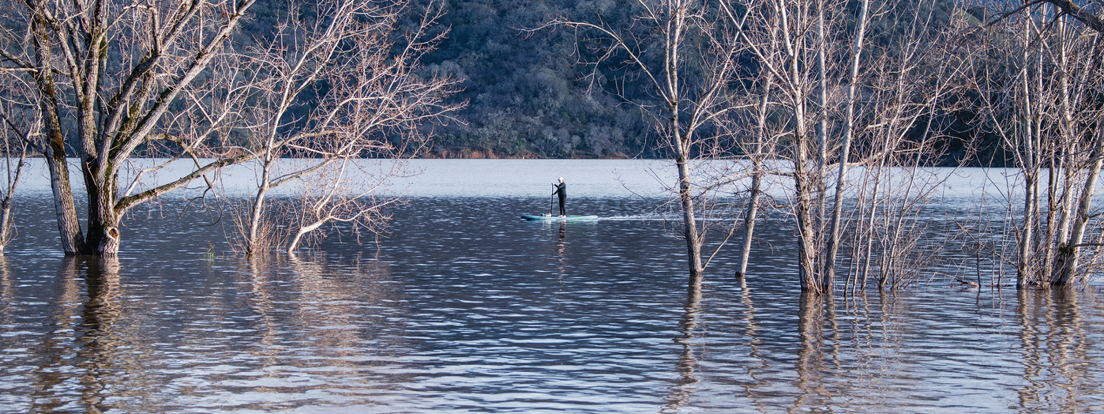 Storm deluge stirs hope for water supply