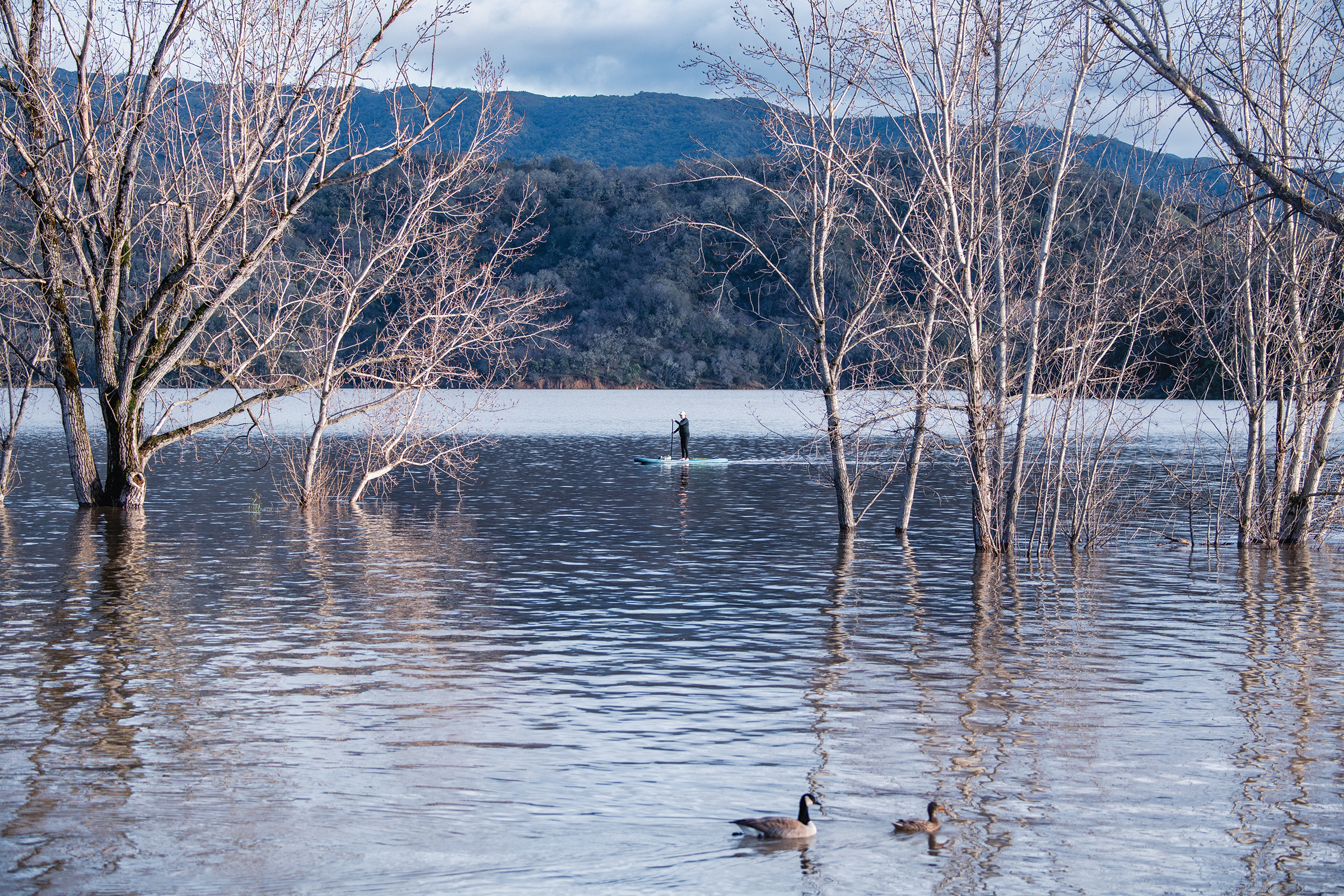 Storm deluge stirs hope for water supply