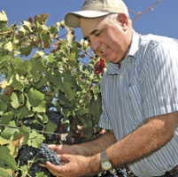 From the Fields: Joe Valente, San Joaquin County winegrape grower