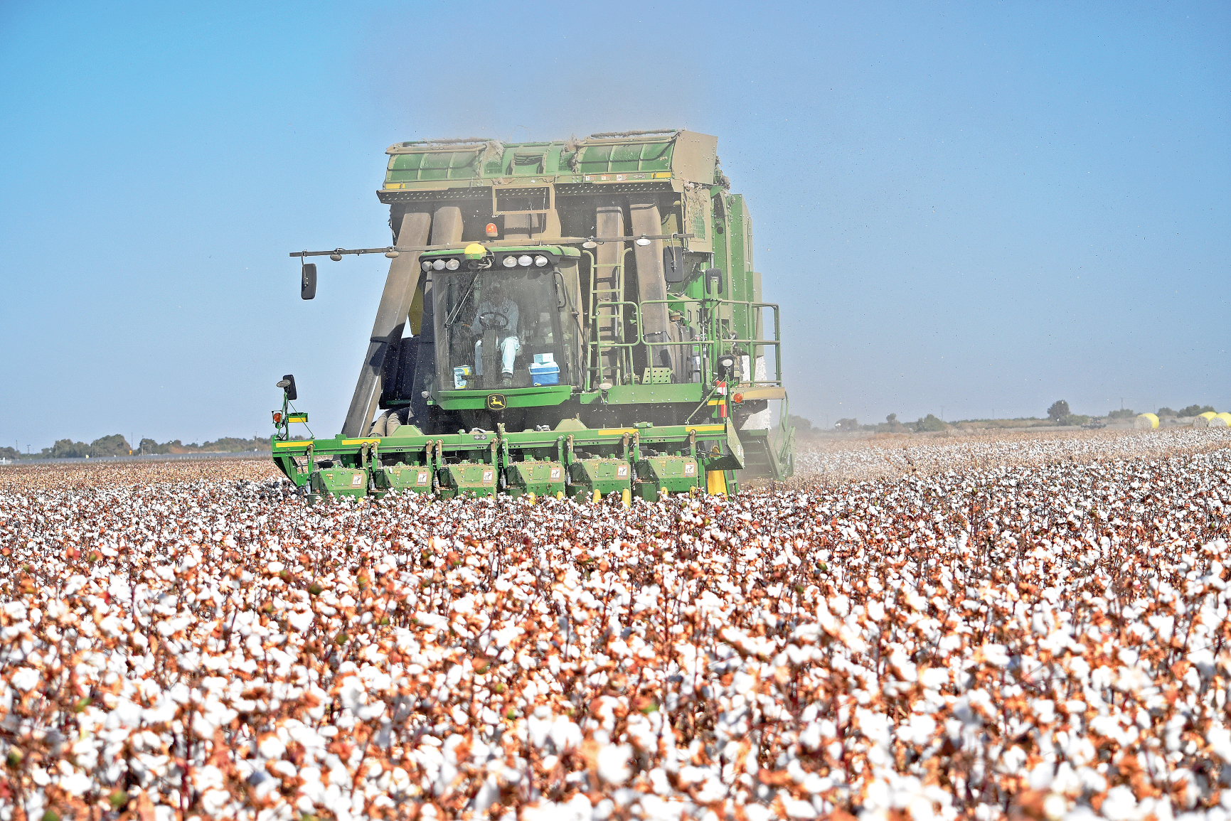 Weather, prices shrink cotton acreage in California