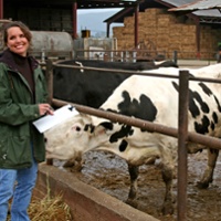 State vet reflects on her work as animal health chief 