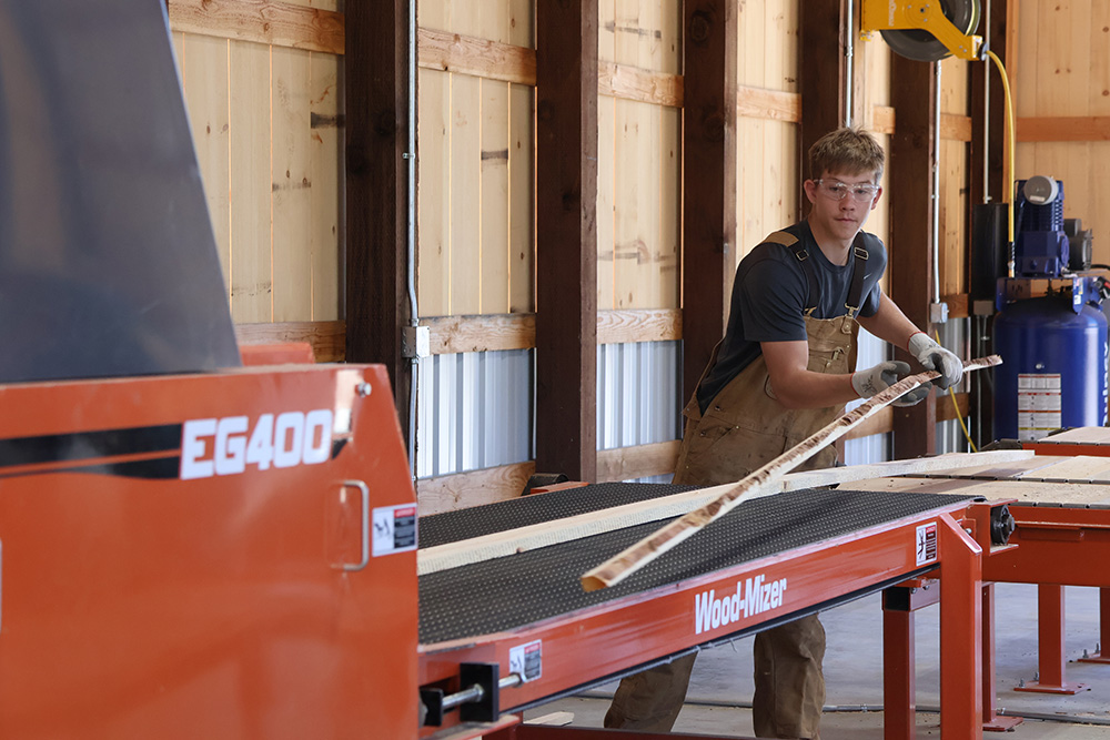 New school sawmill spurs logging interest