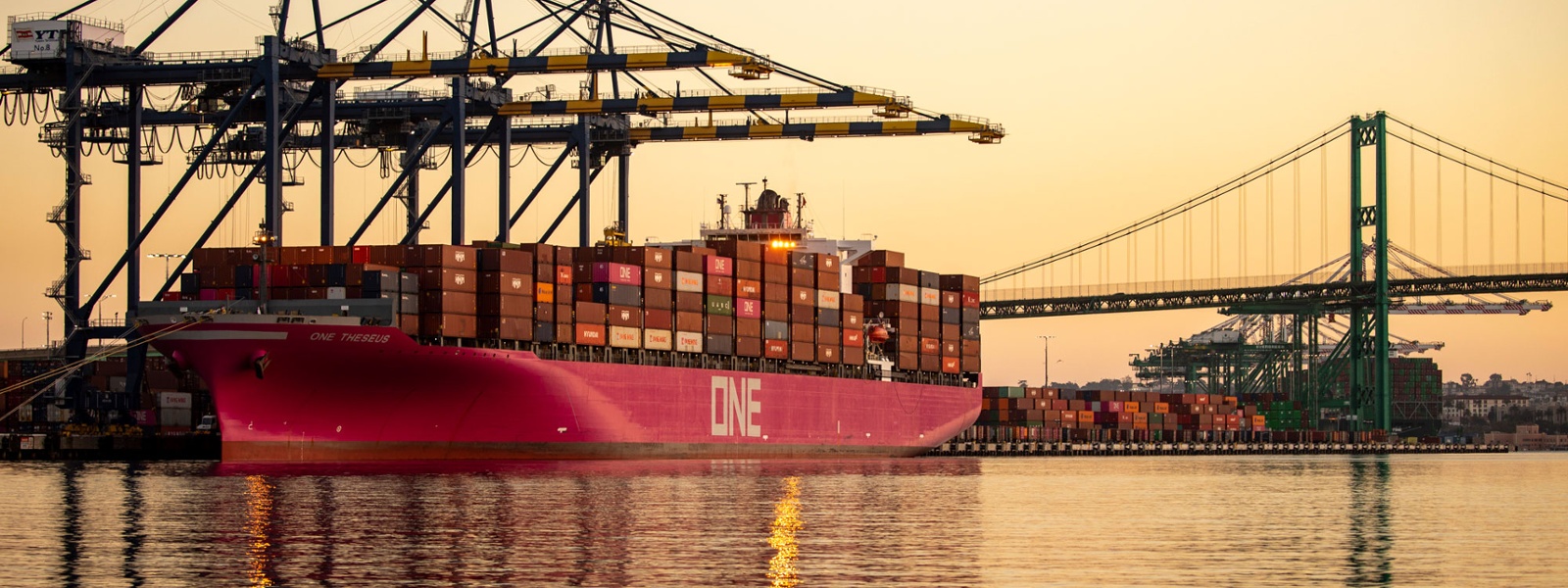 Tariff uncertainty hurts agricultural exports, economy