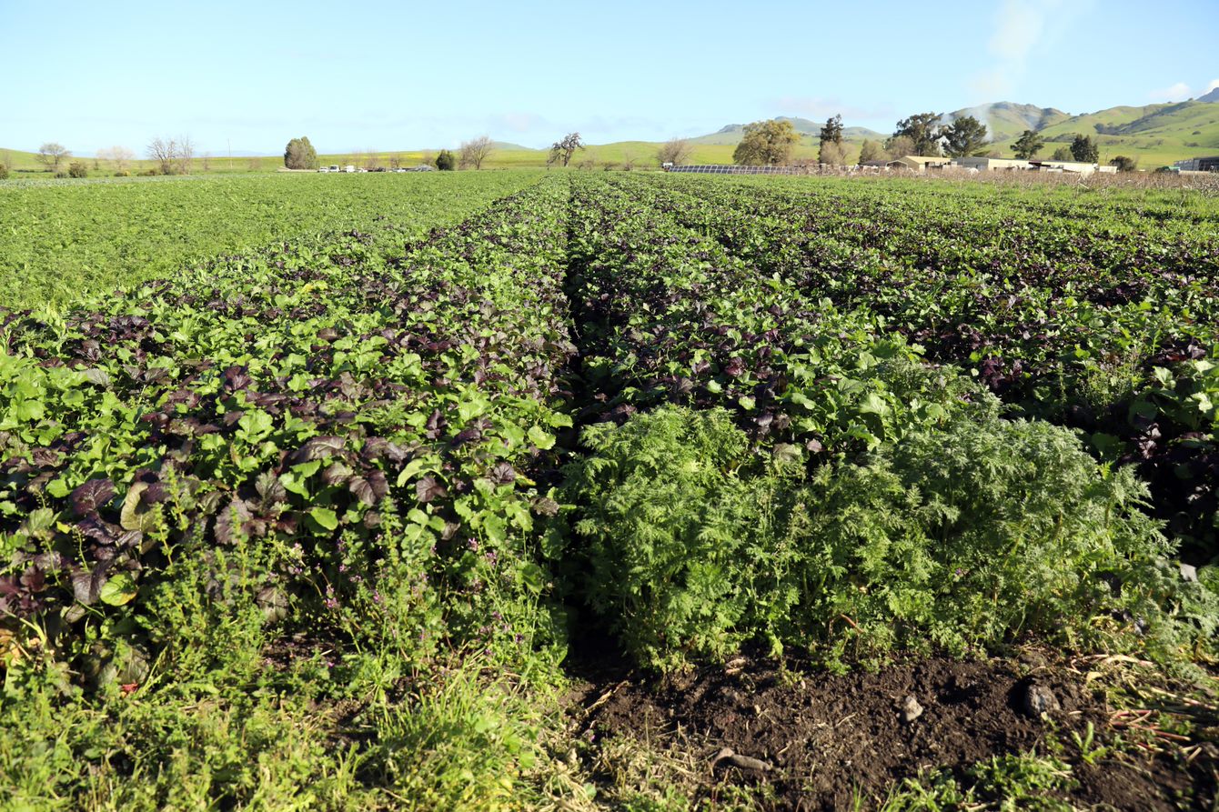 Farmers get help transitioning to organic