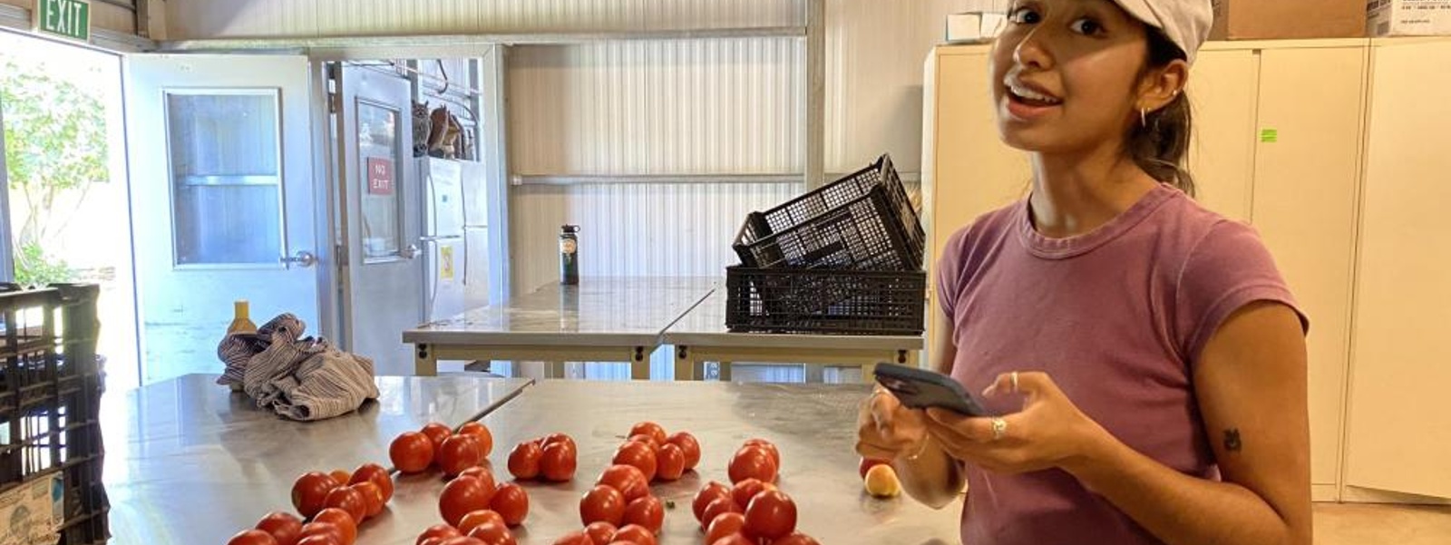 UC students breed new crop varieties for organic farms