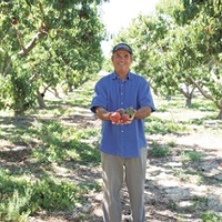 From the Fields: John Tenerelli, ​​​​​​​Los Angeles County tree fruit grower