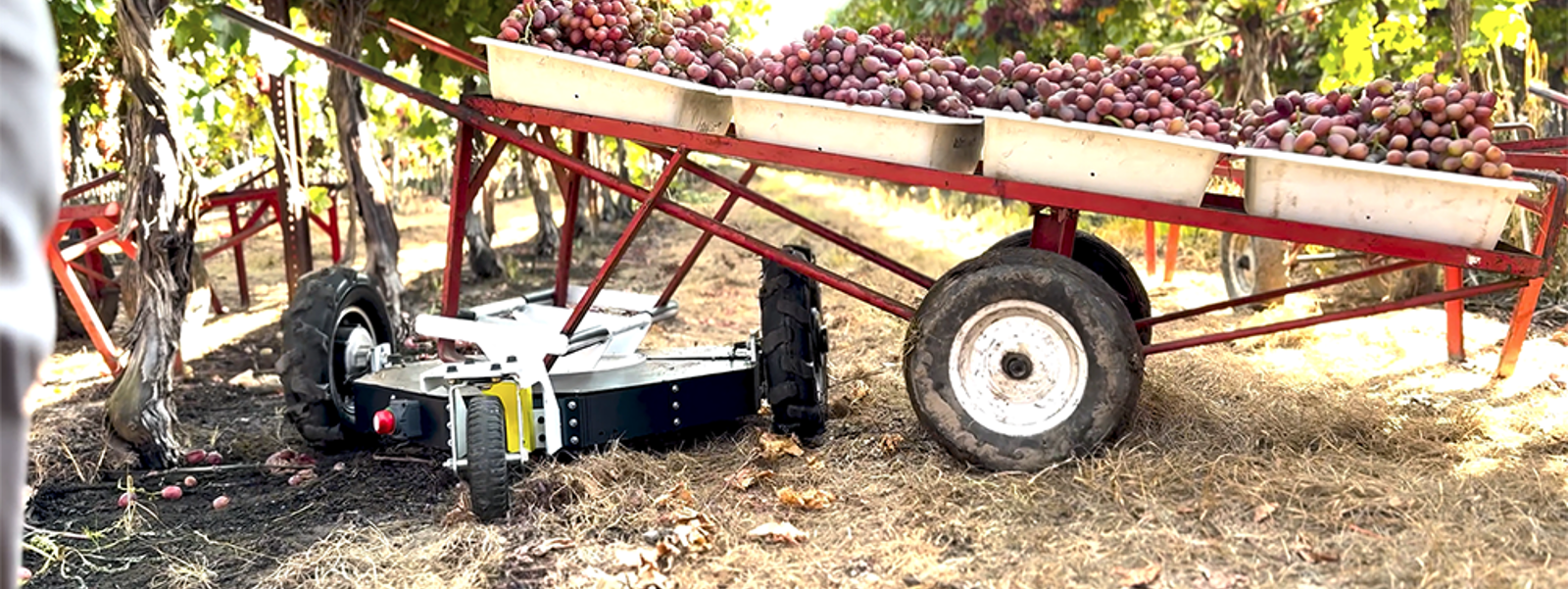 California robotics startup battles for innovation prize