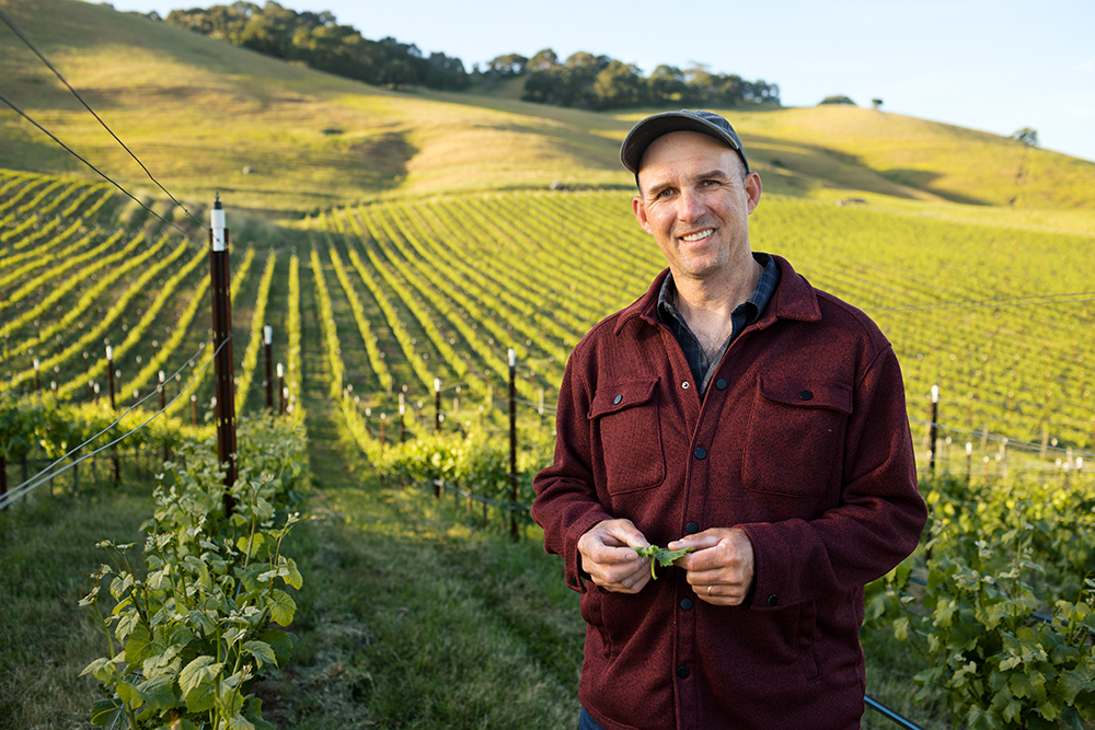 From the Fields: Andrew Forchini, Sonoma County winegrape grower and sheep rancher