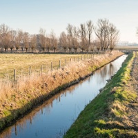 Court: Agricultural drains may operate without permit