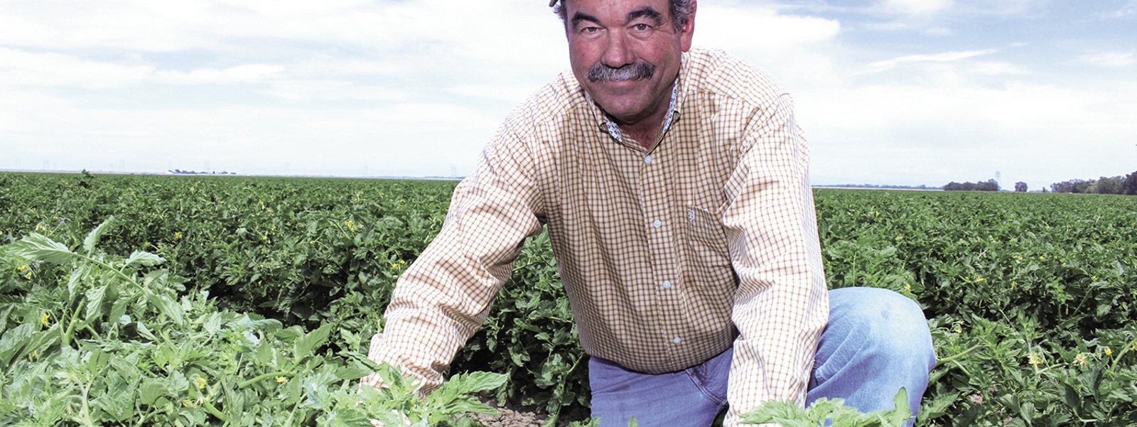 From the Fields: David Richter, ​​​​​​​Sutter County farmer