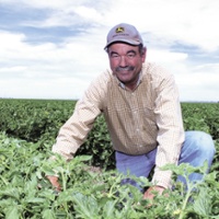 From the Fields: David Richter, ​​​​​​​Sutter County farmer