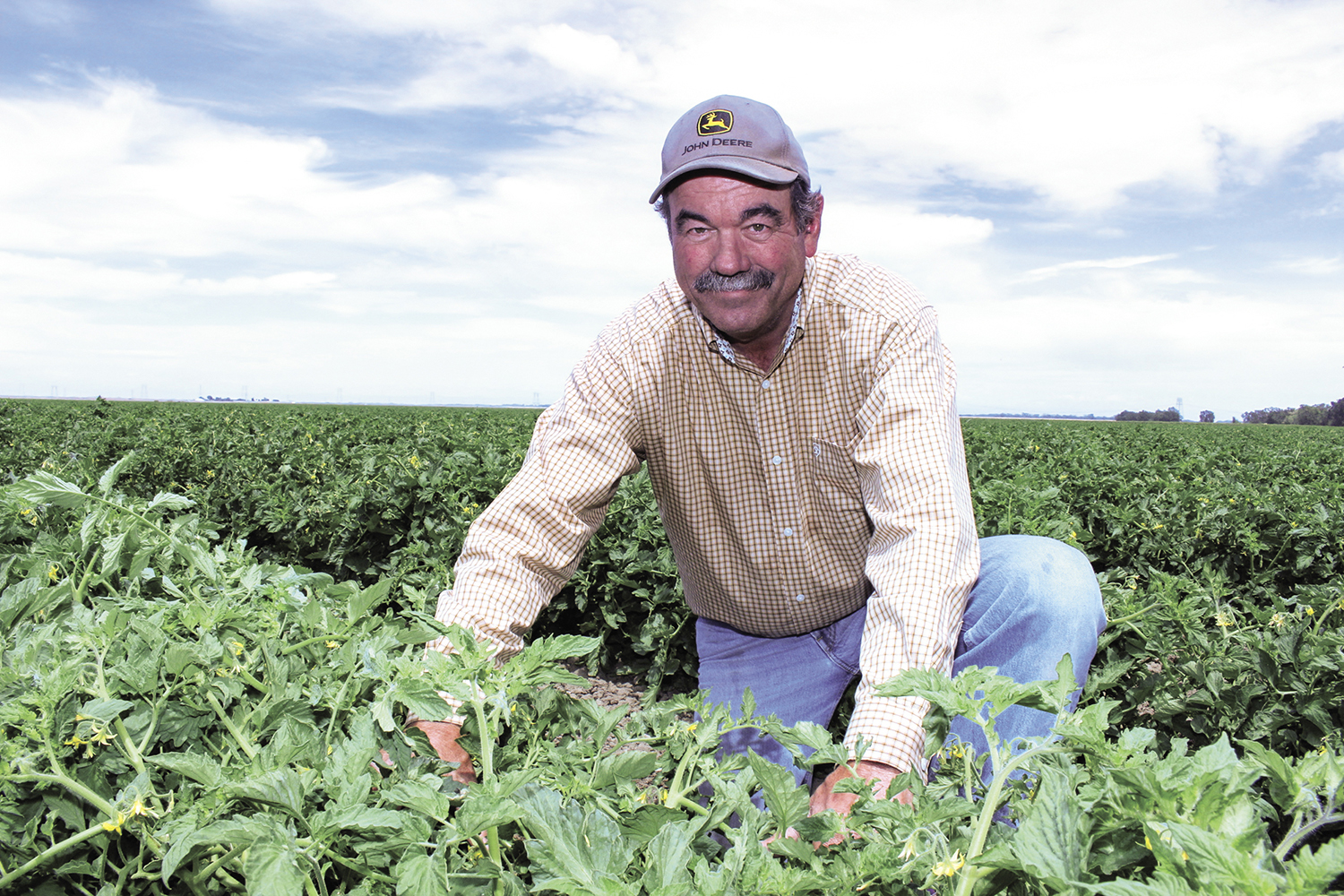 From the Fields: David Richter, ​​​​​​​Sutter County farmer