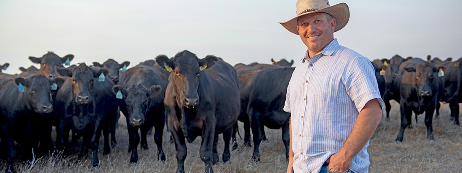 From the Fields: Loren Poncia, Marin County rancher