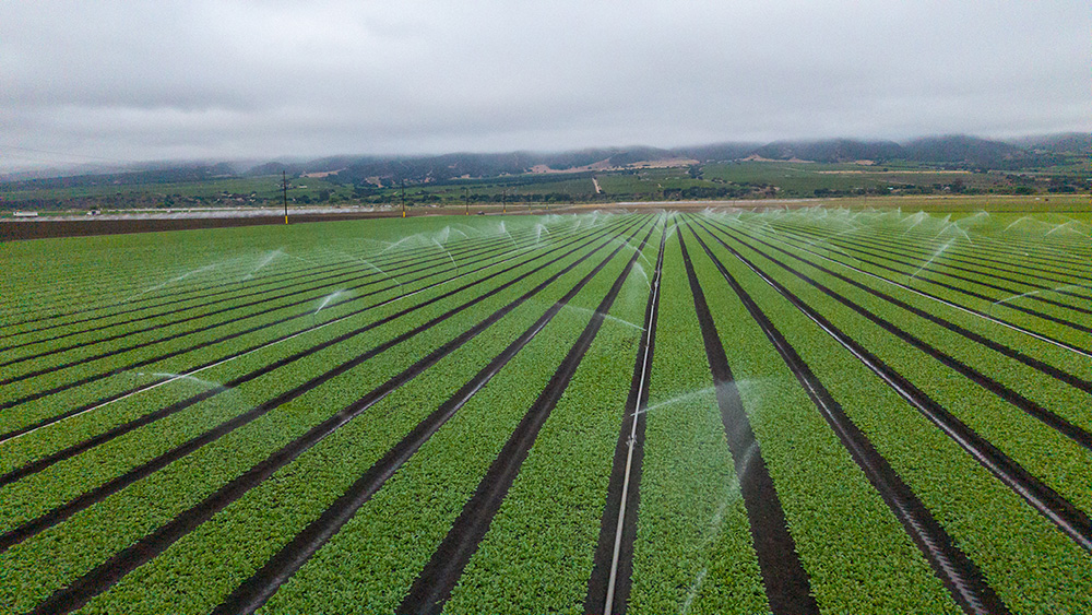 How California farms can reduce pumping power costs