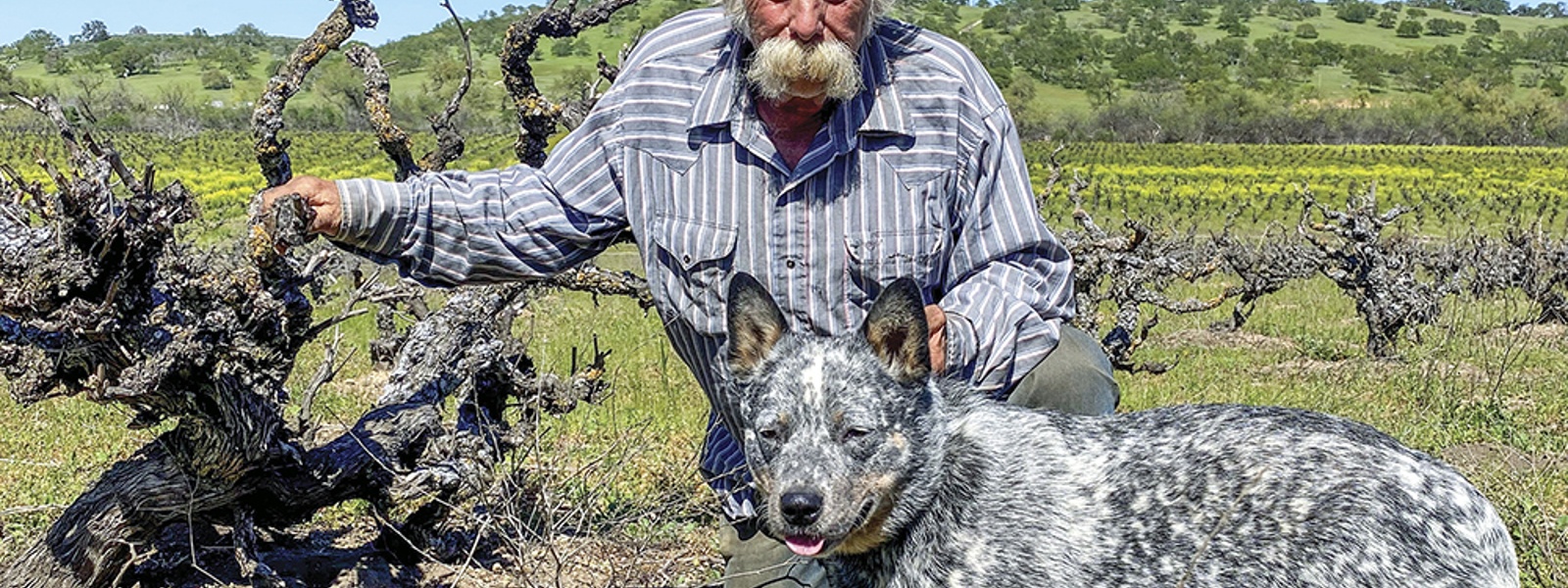 From the Fields: Pat Wirz, San Benito County farmer and rancher