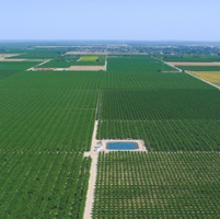 Agencies race to fix plans to sustain groundwater levels