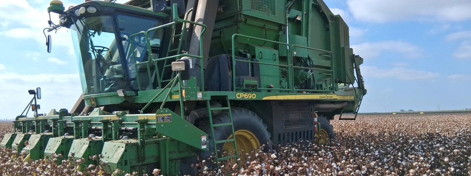 Farmers plant less cotton in face of stagnant market