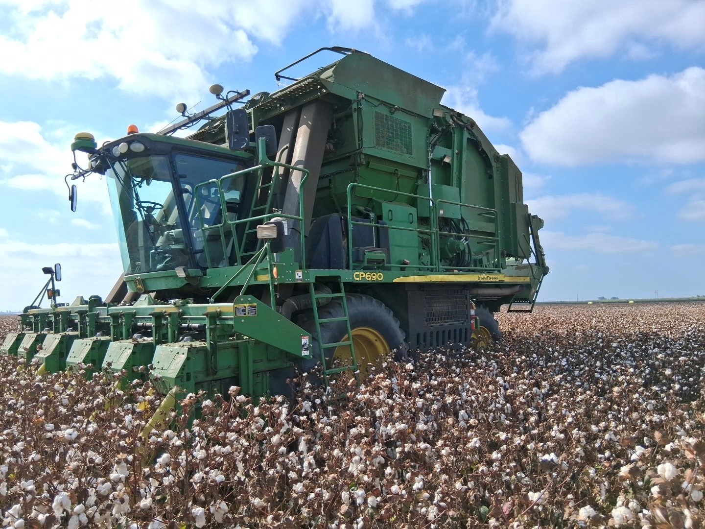 Farmers plant less cotton in face of stagnant market