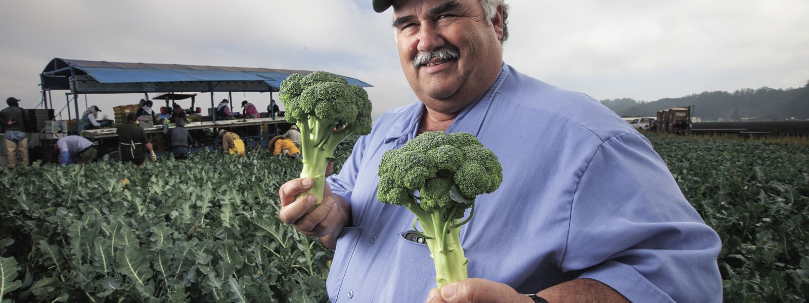 From the Fields: Dick Peixoto, Santa Cruz County organic vegetable farmer