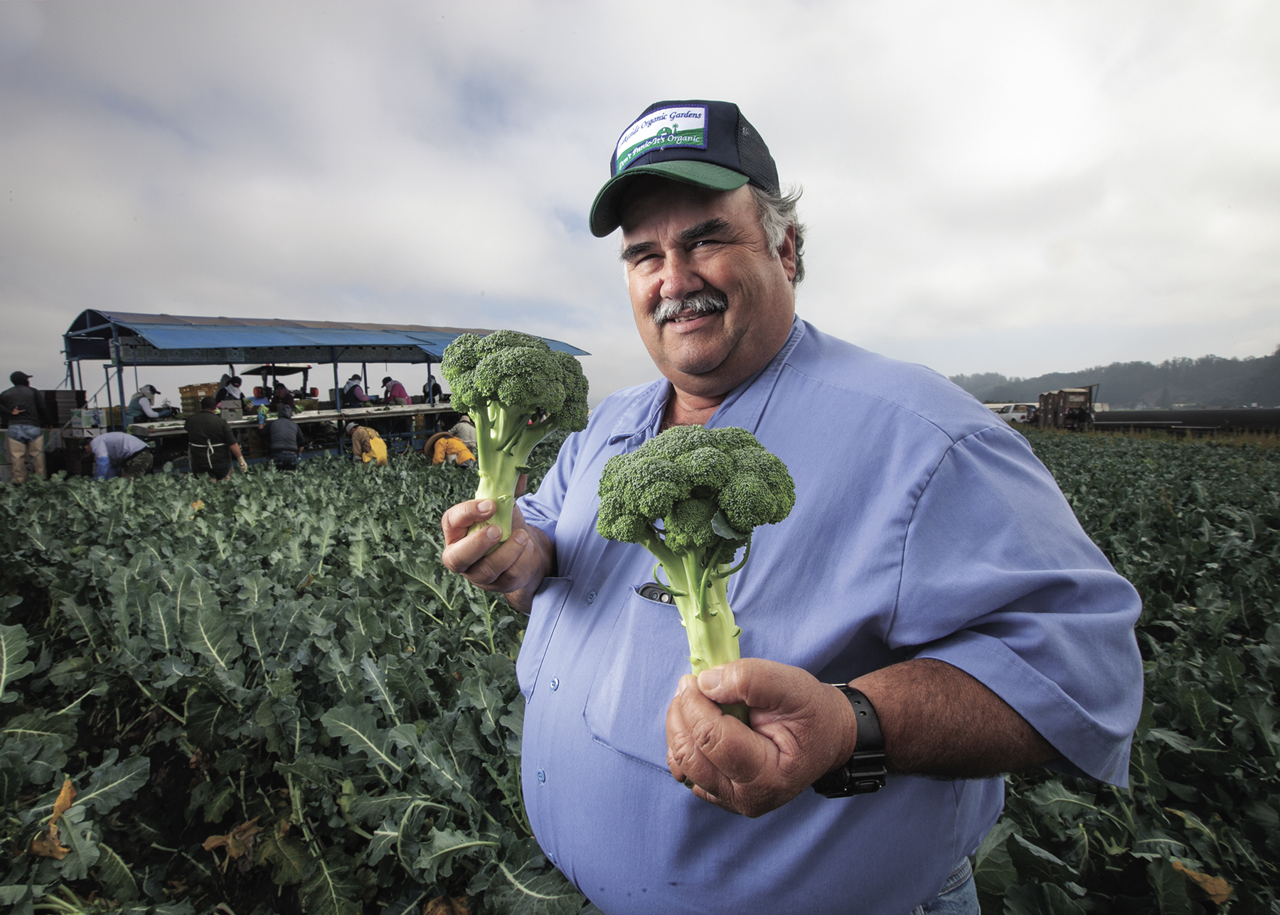 From the Fields: Dick Peixoto, Santa Cruz County organic vegetable farmer