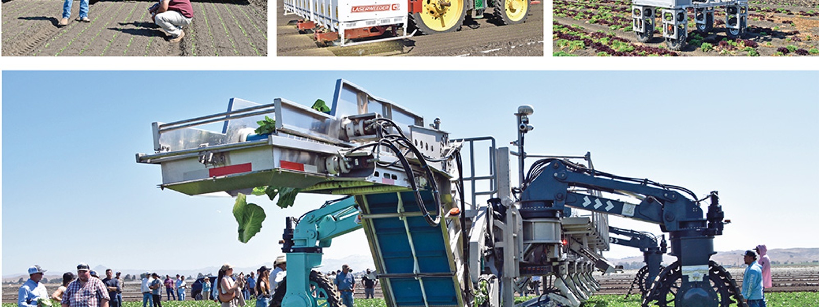 New 'smart' farm tech targets vegetable production&nbsp;