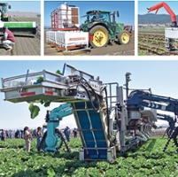 New 'smart' farm tech targets vegetable production 