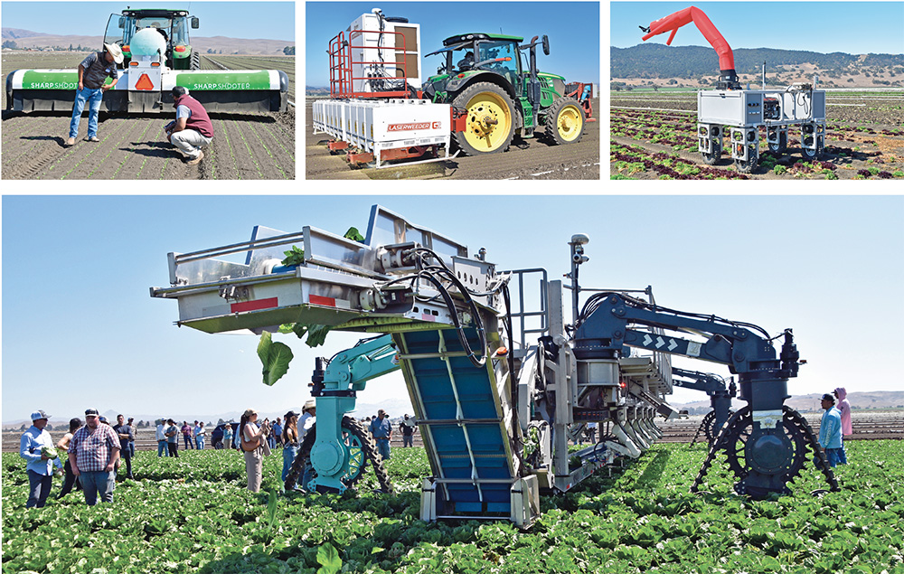 New 'smart' farm tech targets vegetable production