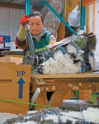 Valentine's Day brings sales and trials for flower farms