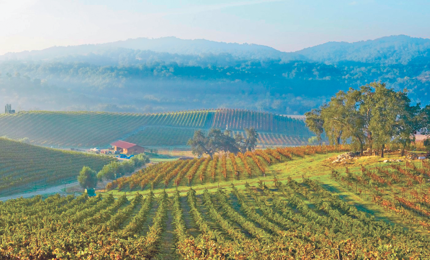 Paso Robles vineyards focus on organics and variety