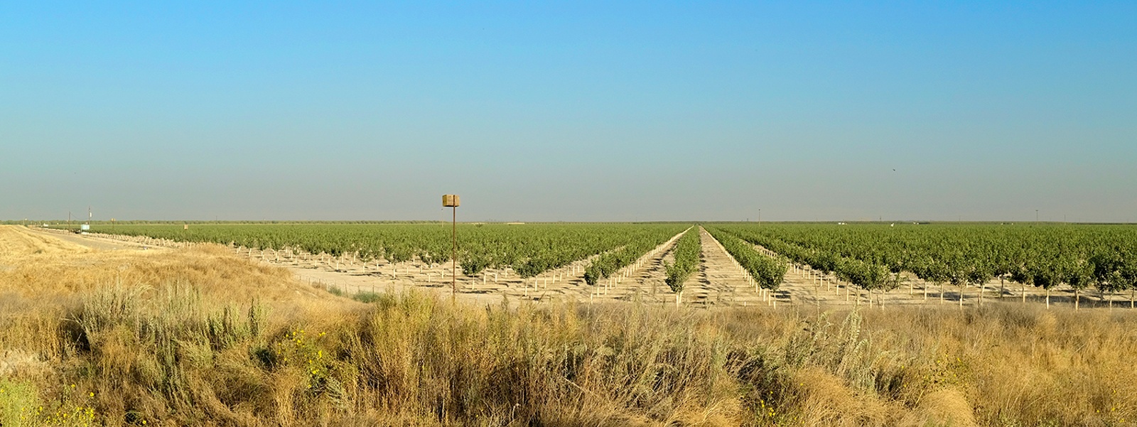 Annual report shows major declines in farmland values