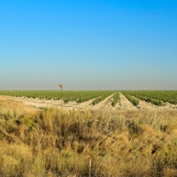 Annual report shows major declines in farmland values