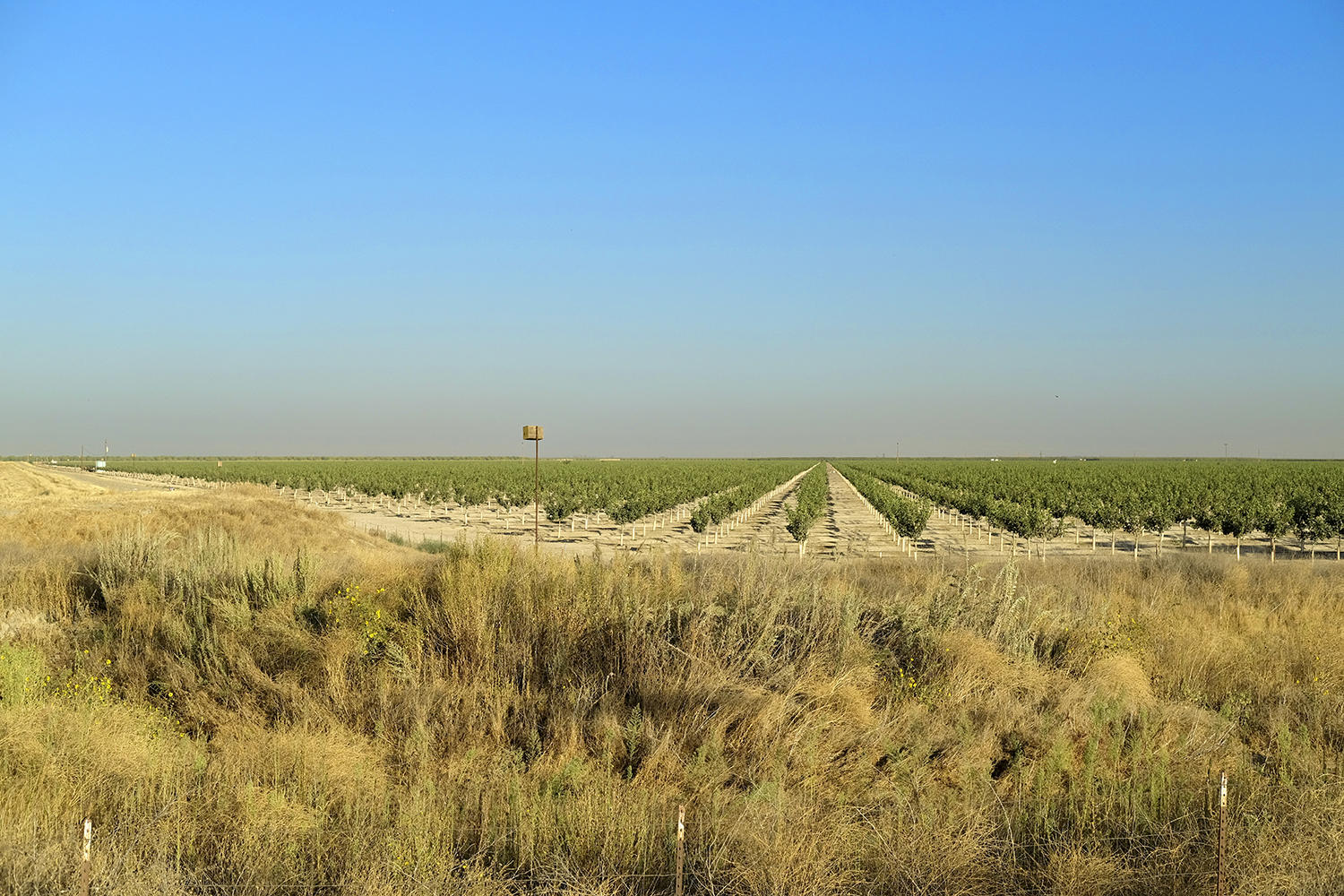 Annual report shows major declines in farmland values