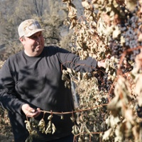 Napa vineyards helped douse Pickett Fire