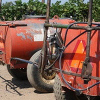 Fumigant study shows difficulty finding alternatives