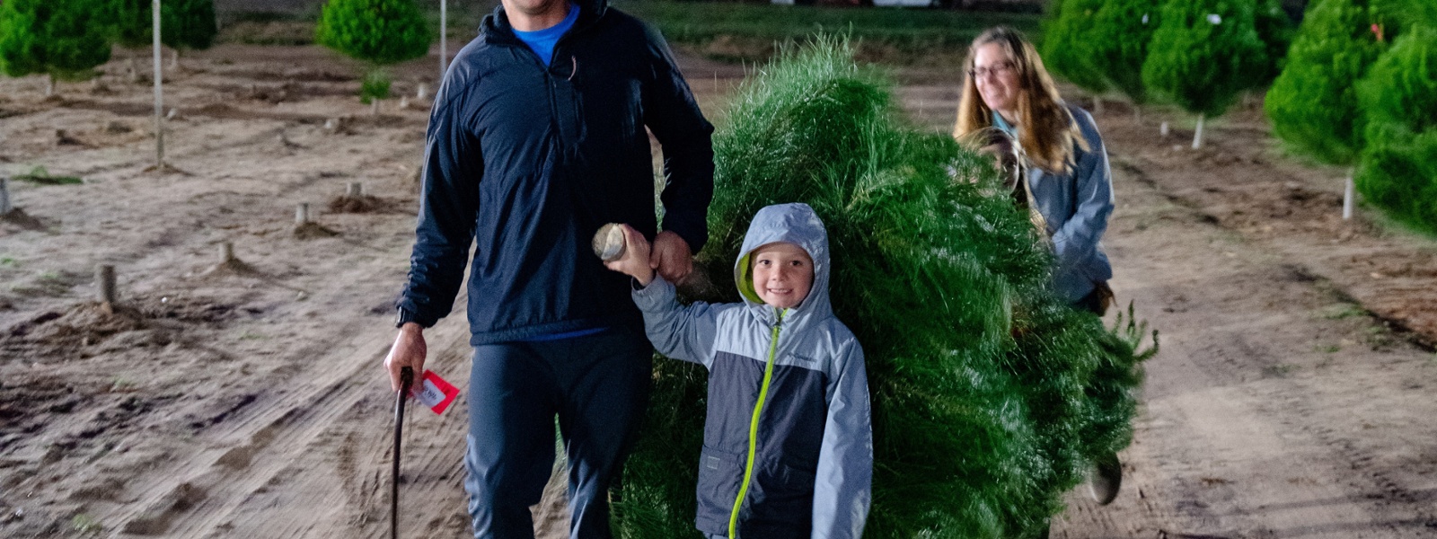 Some Christmas tree farms sell out early