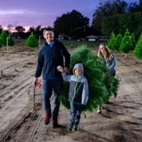 Some Christmas tree farms sell out early