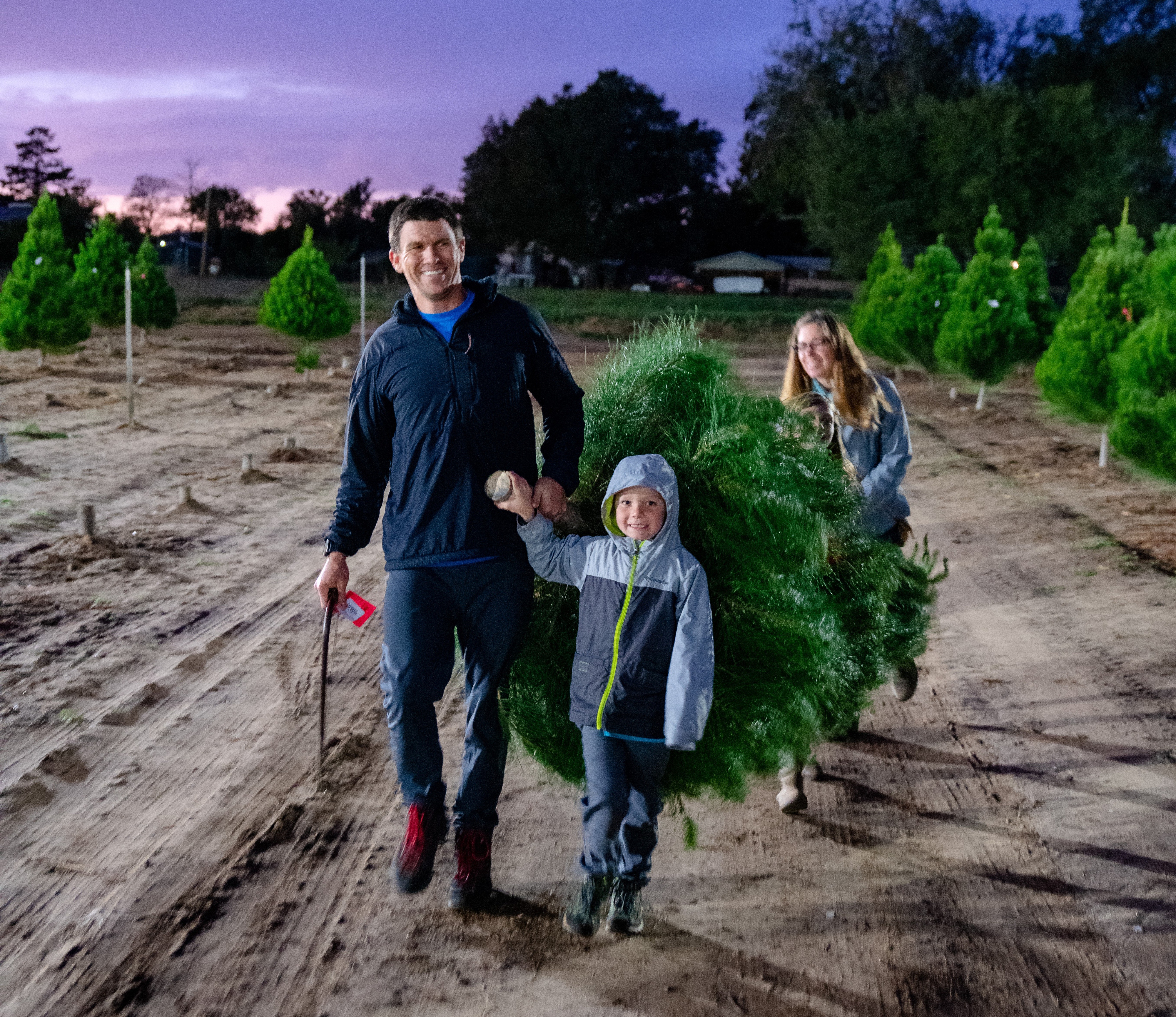 Some Christmas tree farms sell out early