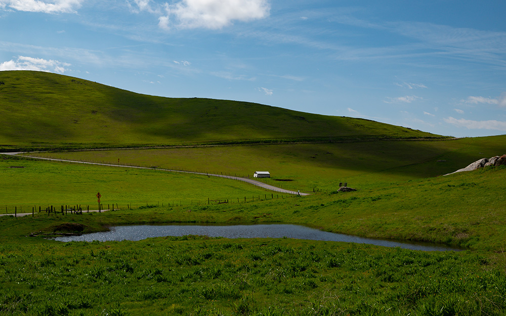 News Briefs: Groundwater, beef, verdict and H5N1