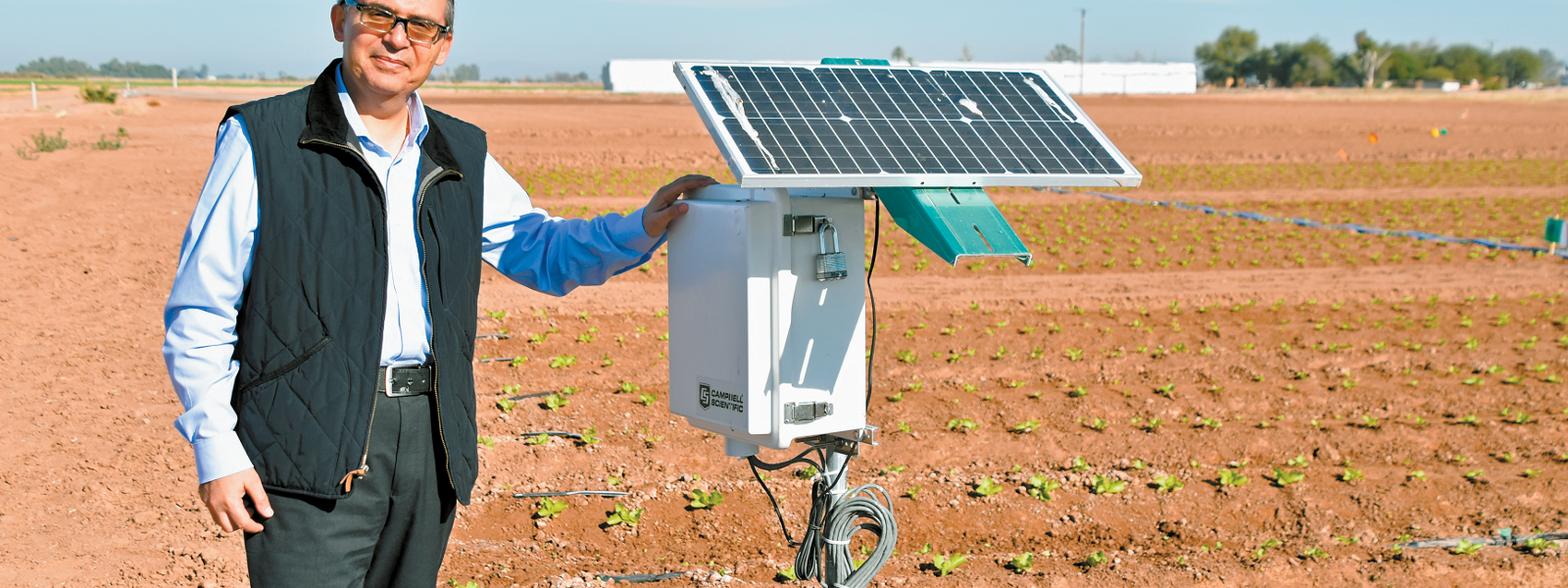Soil sensors, drip reduce water use in desert lettuce