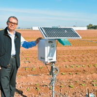 Soil sensors, drip reduce water use in desert lettuce