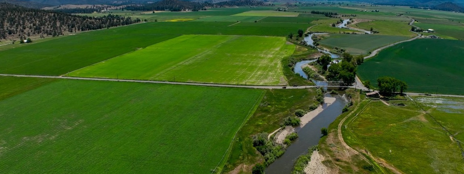 Farmers, tribes weigh in on river flows for salmon