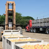 Del Monte cannery closure devastates California fruit growers