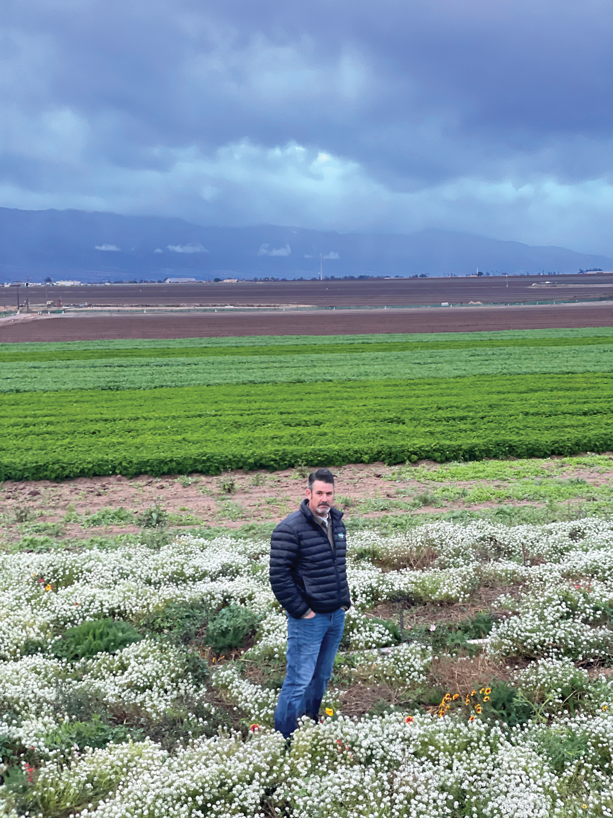 Grower credits cover crops for curbing toll of storms