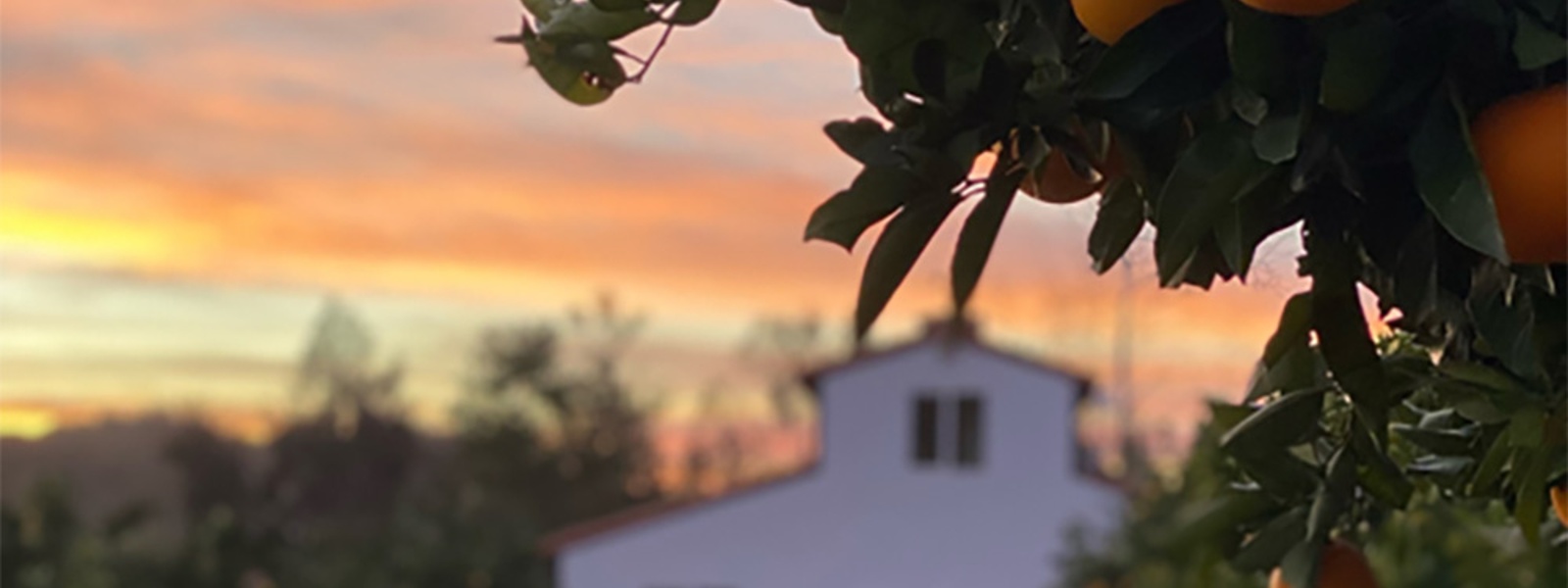 The scenic route: Pit stops at California farms and ranches