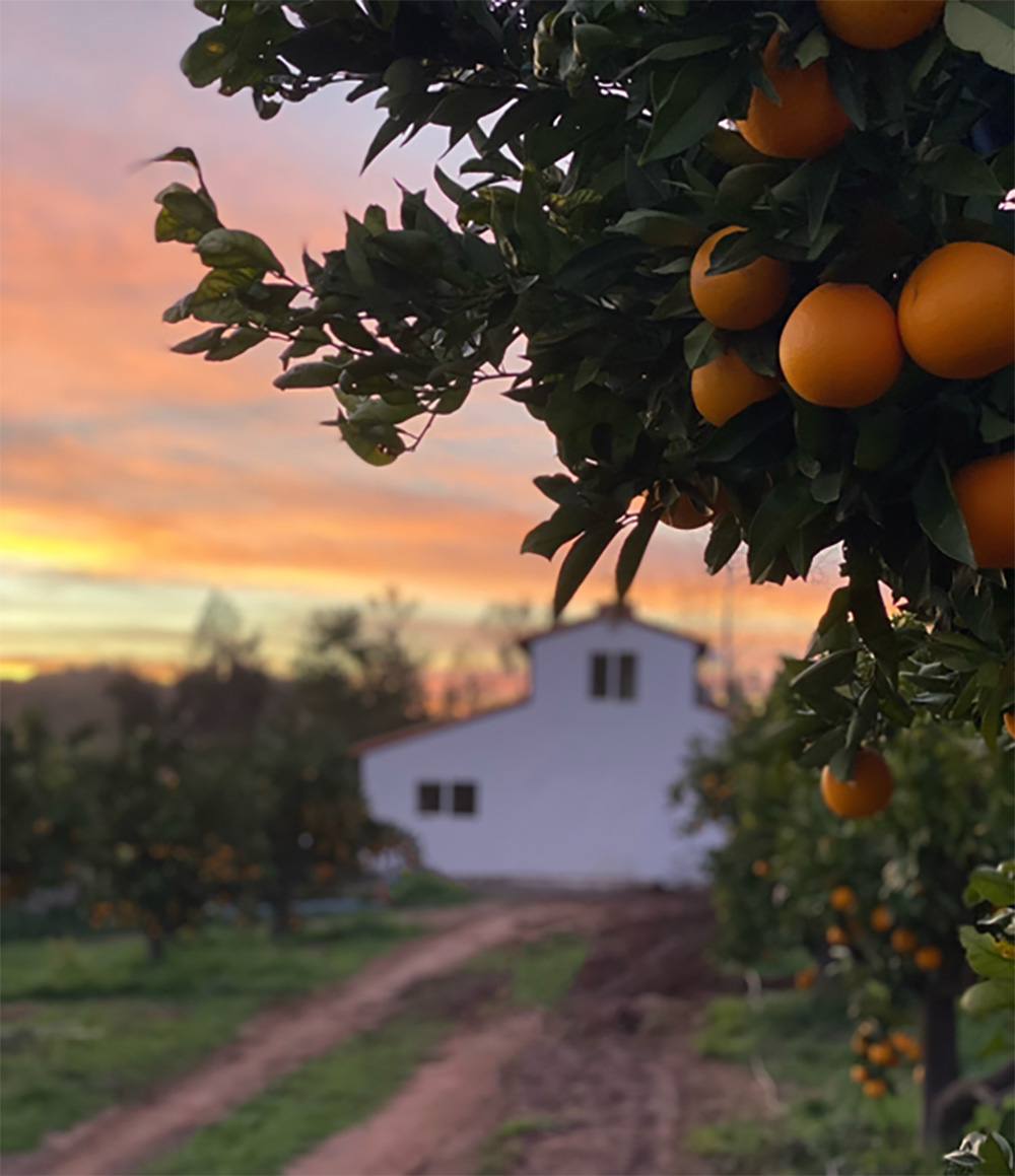The scenic route: Pit stops at California farms and ranches